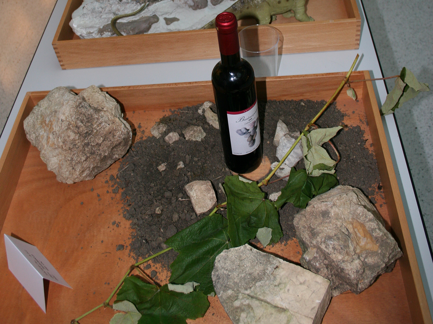 Vergrösserte Ansicht: Weinflasche auf Erde umgeben von Steinen